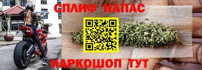 прущие грибы Берёзовский