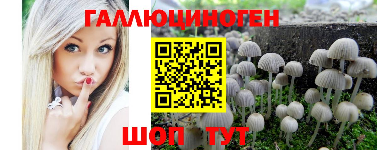 Гудермес  Псилоцибиновые грибы прущие грибы  Вход с VPN 